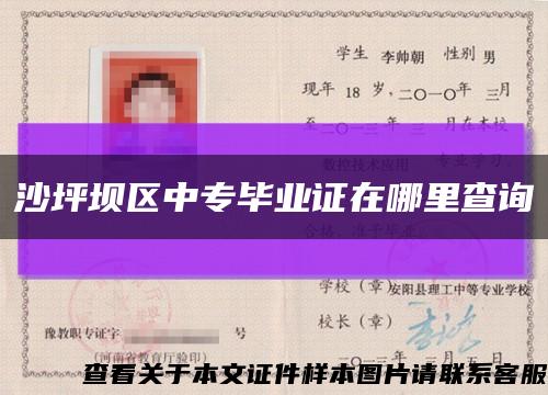 沙坪坝区中专毕业证在哪里查询缩略图