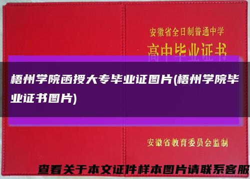 梧州学院函授大专毕业证图片(梧州学院毕业证书图片)缩略图