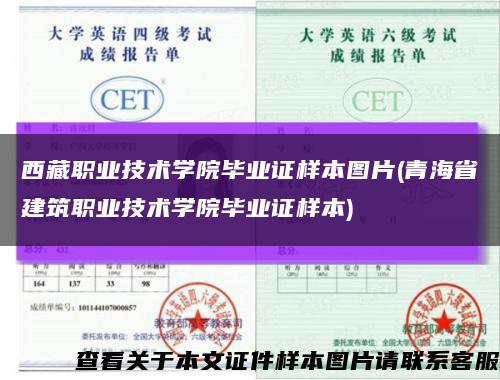 西藏职业技术学院毕业证样本图片(青海省建筑职业技术学院毕业证样本)缩略图