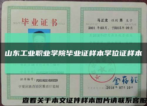 山东工业职业学院毕业证样本学位证样本缩略图