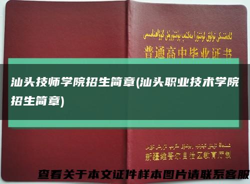 汕头技师学院招生简章(汕头职业技术学院招生简章)缩略图