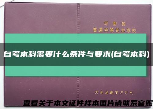 自考本科需要什么条件与要求(自考本科)缩略图