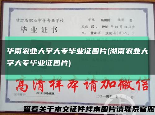 华南农业大学大专毕业证图片(湖南农业大学大专毕业证图片)缩略图