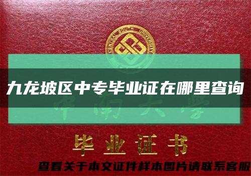 九龙坡区中专毕业证在哪里查询缩略图