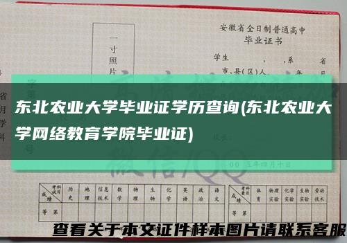 东北农业大学毕业证学历查询(东北农业大学网络教育学院毕业证)缩略图