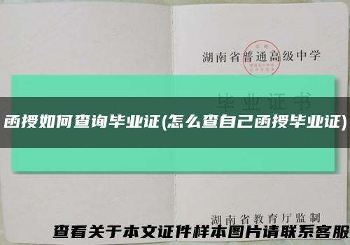 函授如何查询毕业证(怎么查自己函授毕业证)缩略图