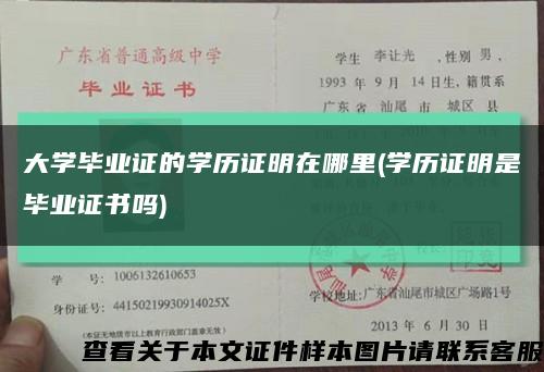 大学毕业证的学历证明在哪里(学历证明是毕业证书吗)缩略图