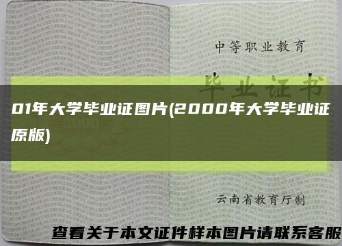 01年大学毕业证图片(2000年大学毕业证原版)缩略图