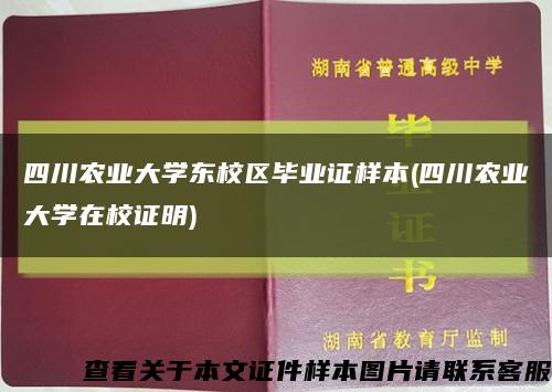 四川农业大学东校区毕业证样本(四川农业大学在校证明)缩略图