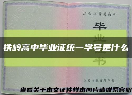 铁岭高中毕业证统一学号是什么缩略图