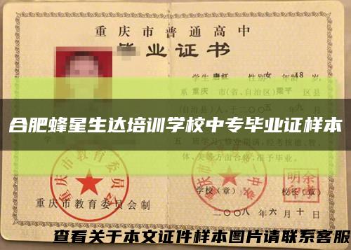 合肥蜂星生达培训学校中专毕业证样本缩略图