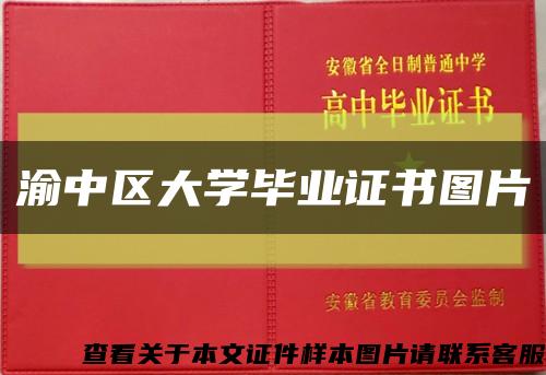 渝中区大学毕业证书图片缩略图