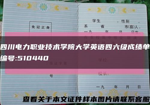 四川电力职业技术学院大学英语四六级成绩单编号:510440缩略图