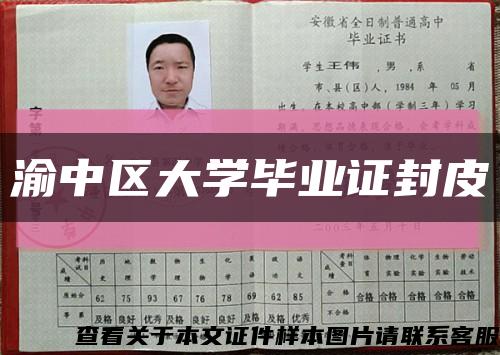 渝中区大学毕业证封皮缩略图