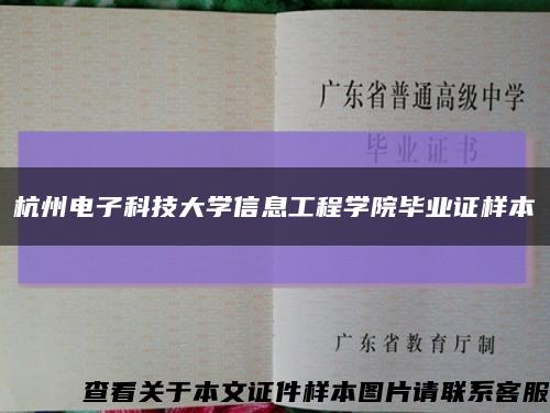 杭州电子科技大学信息工程学院毕业证样本缩略图