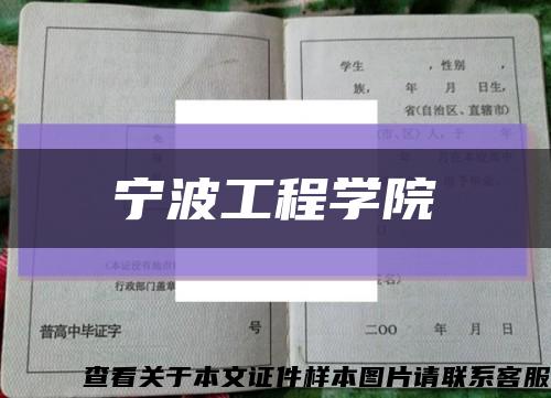 宁波工程学院缩略图