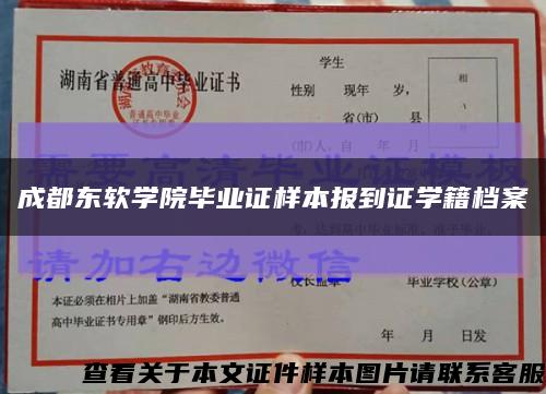 成都东软学院毕业证样本报到证学籍档案缩略图