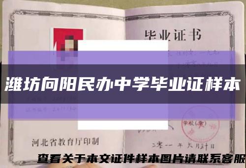 潍坊向阳民办中学毕业证样本缩略图