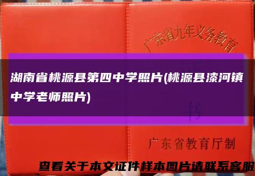 湖南省桃源县第四中学照片(桃源县漆河镇中学老师照片)缩略图