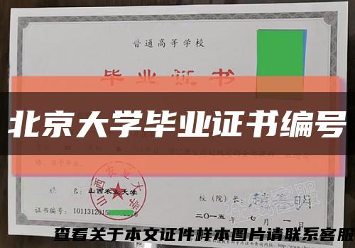 北京大学毕业证书编号缩略图