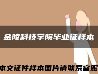 金陵科技学院毕业证样本缩略图