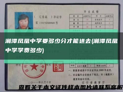 湘潭凤凰中学要多少分才能进去(湘潭凤凰中学学费多少)缩略图