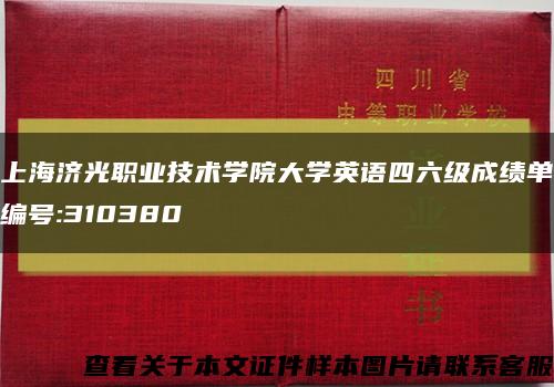 上海济光职业技术学院大学英语四六级成绩单编号:310380缩略图