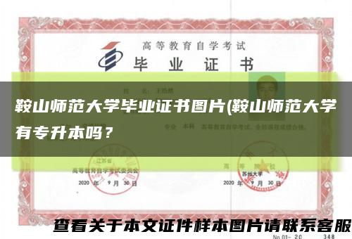 鞍山师范大学毕业证书图片(鞍山师范大学有专升本吗？缩略图