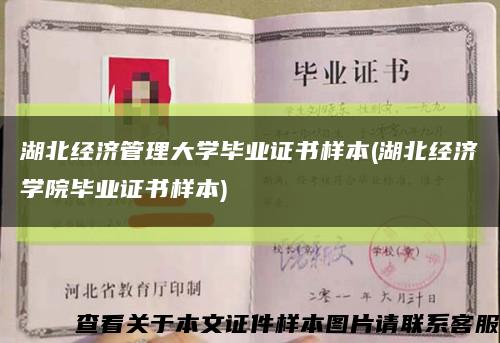 湖北经济管理大学毕业证书样本(湖北经济学院毕业证书样本)缩略图