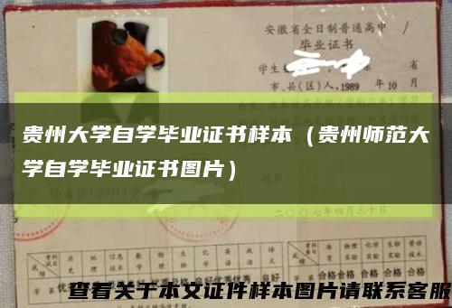 贵州大学自学毕业证书样本（贵州师范大学自学毕业证书图片）缩略图