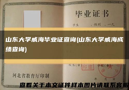 山东大学威海毕业证查询(山东大学威海成绩查询)缩略图