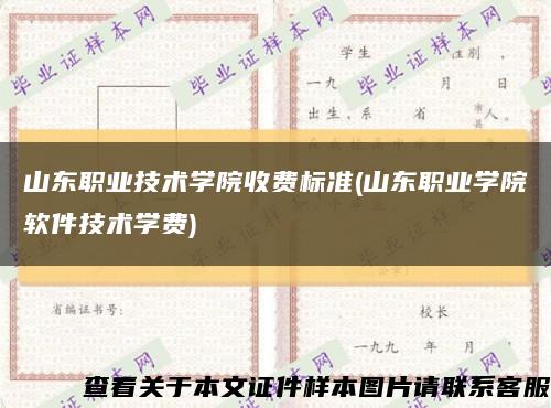 山东职业技术学院收费标准(山东职业学院软件技术学费)缩略图