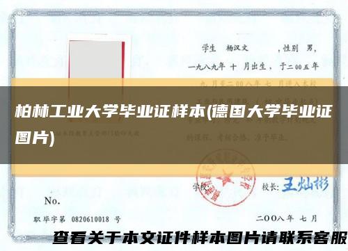 柏林工业大学毕业证样本(德国大学毕业证图片)缩略图