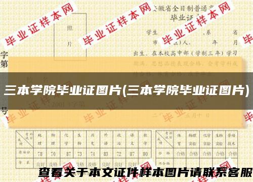 三本学院毕业证图片(三本学院毕业证图片)缩略图