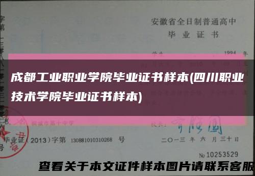 成都工业职业学院毕业证书样本(四川职业技术学院毕业证书样本)缩略图