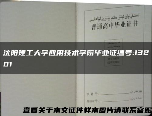 沈阳理工大学应用技术学院毕业证编号:13201缩略图