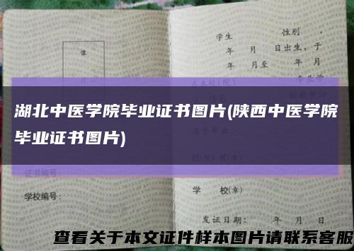 湖北中医学院毕业证书图片(陕西中医学院毕业证书图片)缩略图