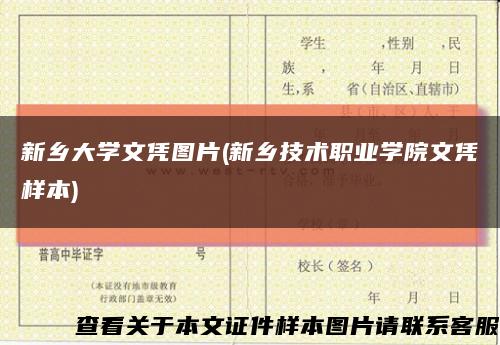 新乡大学文凭图片(新乡技术职业学院文凭样本)缩略图