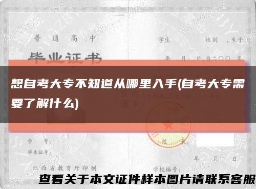 想自考大专不知道从哪里入手(自考大专需要了解什么)缩略图