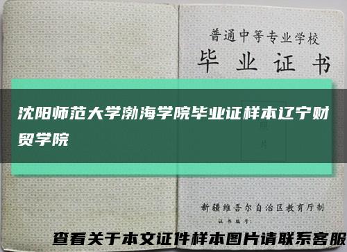 沈阳师范大学渤海学院毕业证样本辽宁财贸学院缩略图