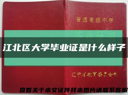 江北区大学毕业证是什么样子缩略图