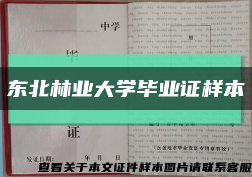 东北林业大学毕业证样本缩略图