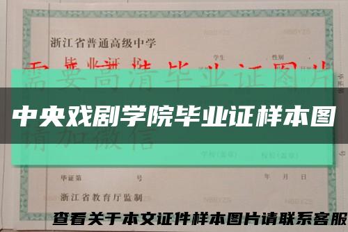 中央戏剧学院毕业证样本图缩略图