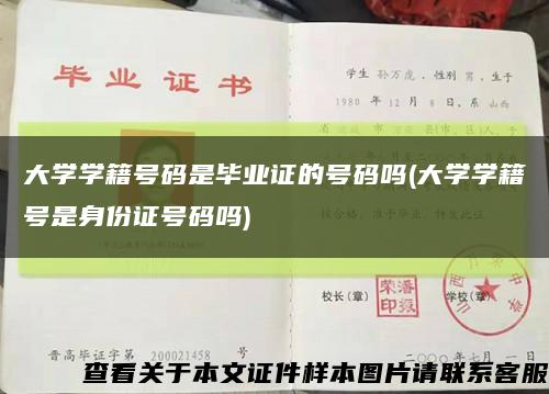 大学学籍号码是毕业证的号码吗(大学学籍号是身份证号码吗)缩略图