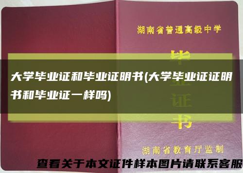 大学毕业证和毕业证明书(大学毕业证证明书和毕业证一样吗)缩略图