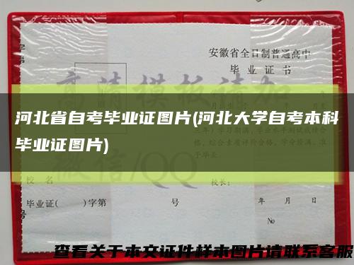 河北省自考毕业证图片(河北大学自考本科毕业证图片)缩略图