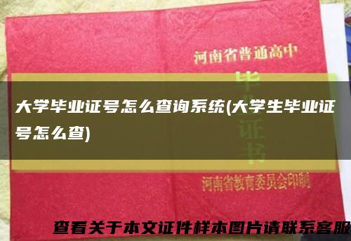 大学毕业证号怎么查询系统(大学生毕业证号怎么查)缩略图