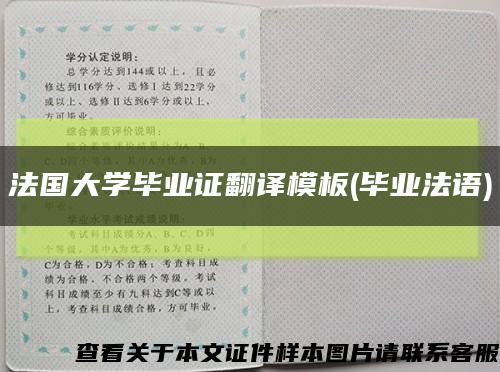 法国大学毕业证翻译模板(毕业法语)缩略图