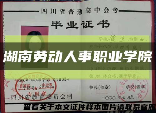 湖南劳动人事职业学院缩略图