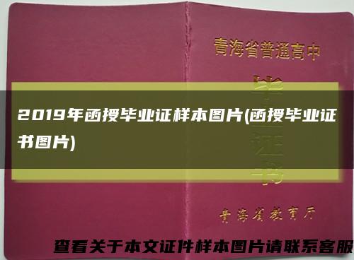 2019年函授毕业证样本图片(函授毕业证书图片)缩略图